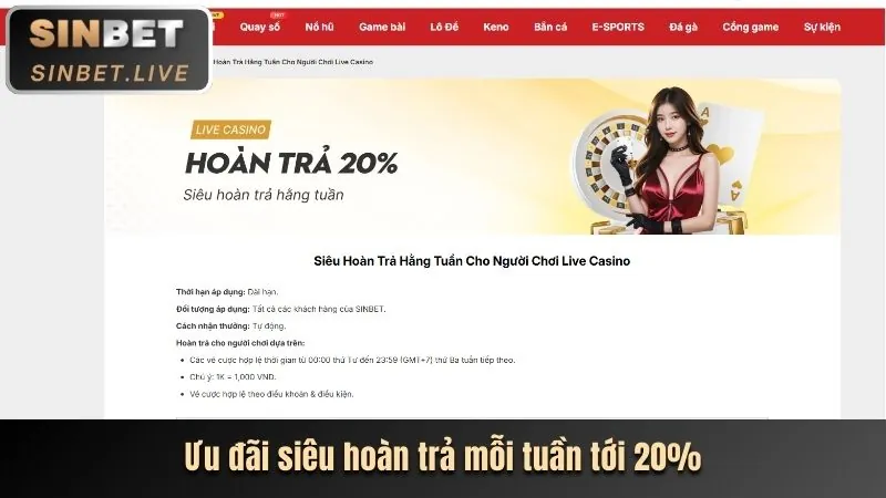 Hoàn Trả Tiền Cược Thua